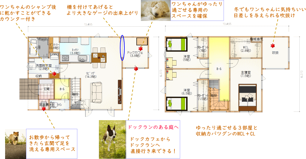 愛犬家住宅仕様　間取り